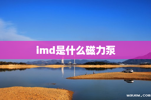 imd是什么磁力泵