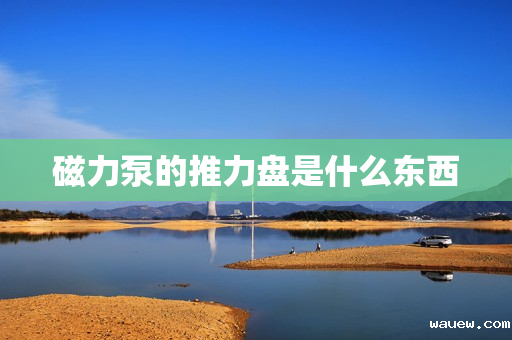 磁力泵的推力盘是什么东西