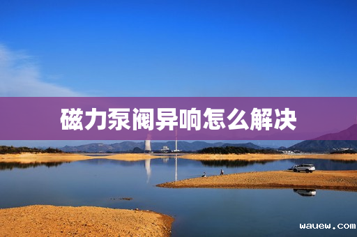 磁力泵阀异响怎么解决