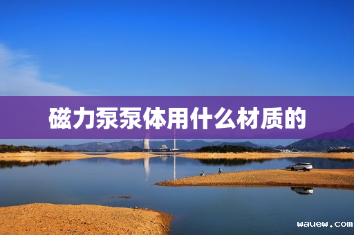 磁力泵泵体用什么材质的