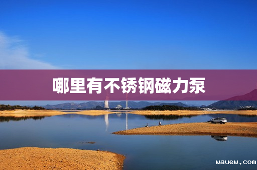 哪里有不锈钢磁力泵