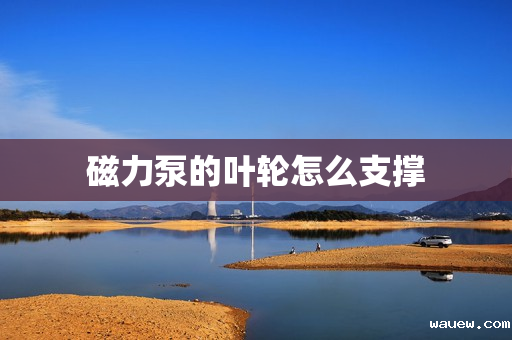 磁力泵的叶轮怎么支撑