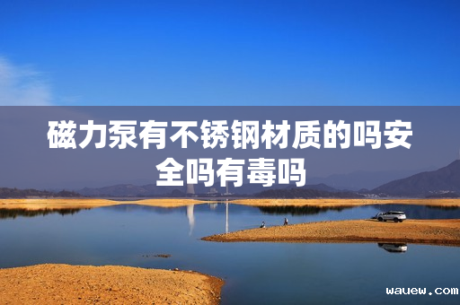 磁力泵有不锈钢材质的吗安全吗有毒吗