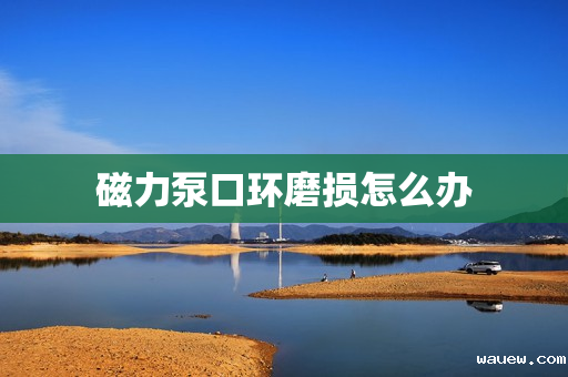 磁力泵口环磨损怎么办