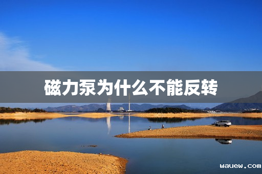 磁力泵为什么不能反转