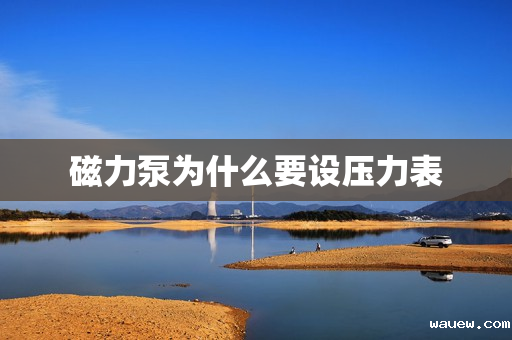 磁力泵为什么要设压力表