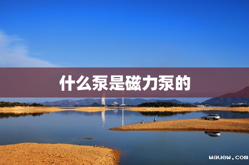 什么泵是磁力泵的