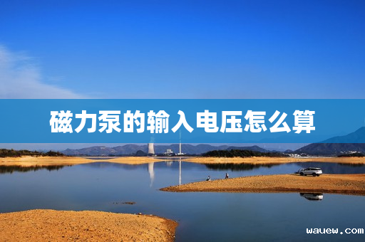 磁力泵的输入电压怎么算