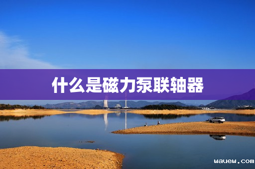 什么是磁力泵联轴器