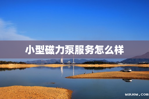 小型磁力泵服务怎么样