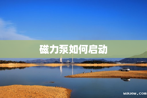 磁力泵如何启动