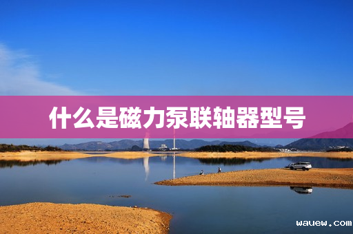 什么是磁力泵联轴器型号