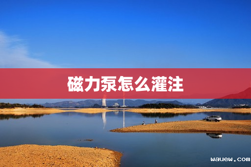 磁力泵怎么灌注