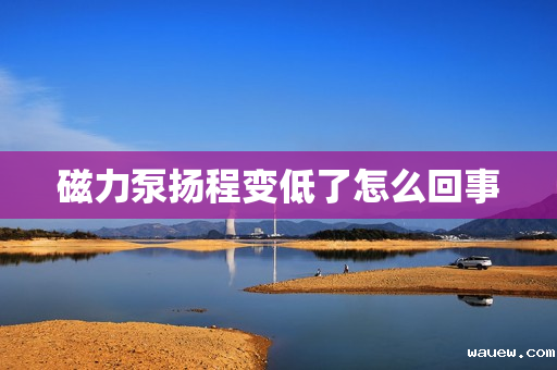 磁力泵扬程变低了怎么回事