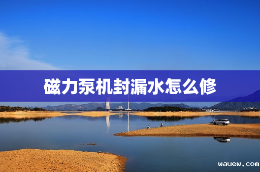 磁力泵机封漏水怎么修