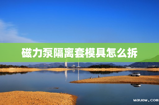 磁力泵隔离套模具怎么拆