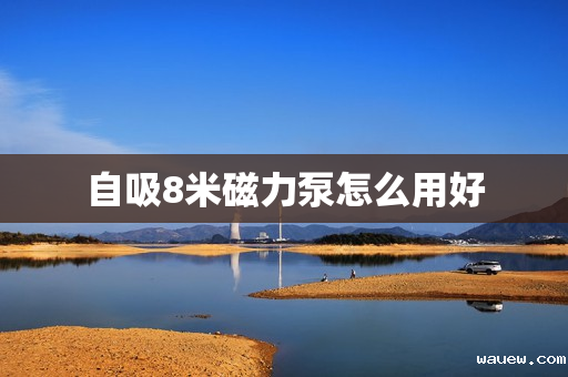 自吸8米磁力泵怎么用好