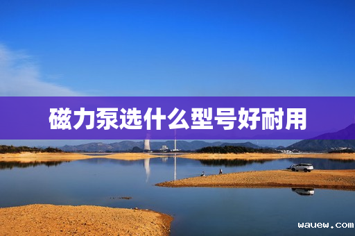 磁力泵选什么型号好耐用