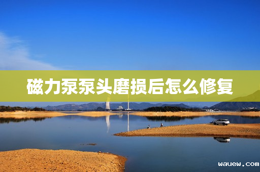 磁力泵泵头磨损后怎么修复