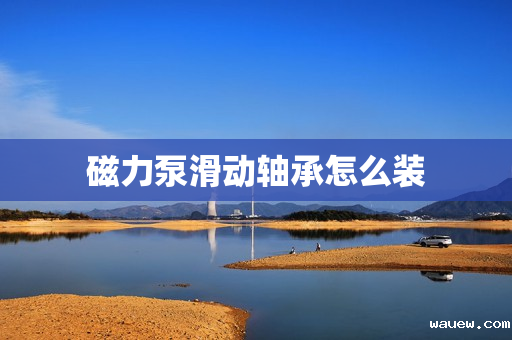 磁力泵滑动轴承怎么装