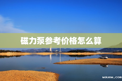 磁力泵参考价格怎么算