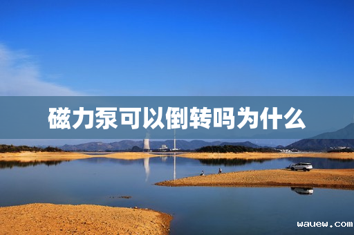 磁力泵可以倒转吗为什么