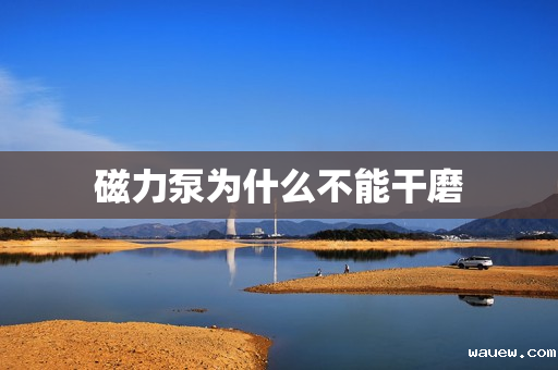 磁力泵为什么不能干磨