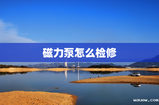 磁力泵怎么检修