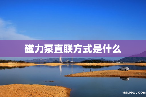 磁力泵直联方式是什么