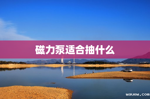 磁力泵适合抽什么