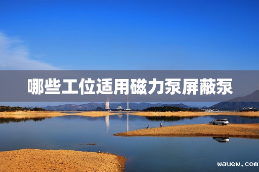 哪些工位适用磁力泵屏蔽泵