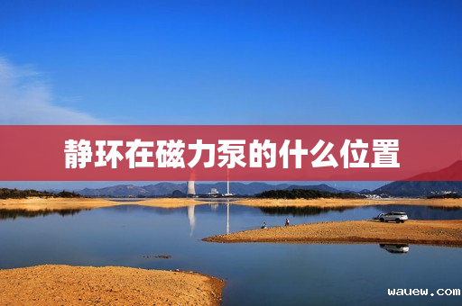 静环在磁力泵的什么位置