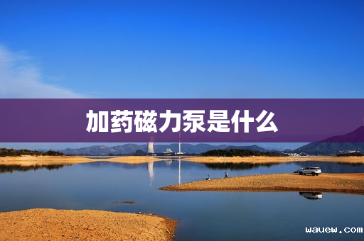 加药磁力泵是什么