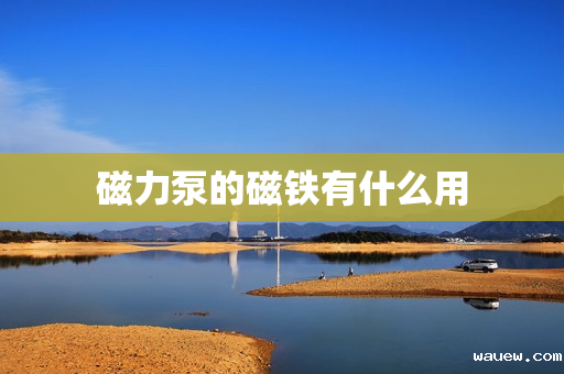 磁力泵的磁铁有什么用