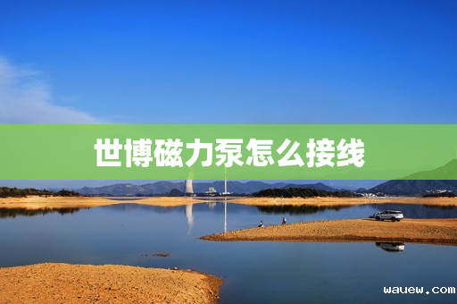 世博磁力泵怎么接线