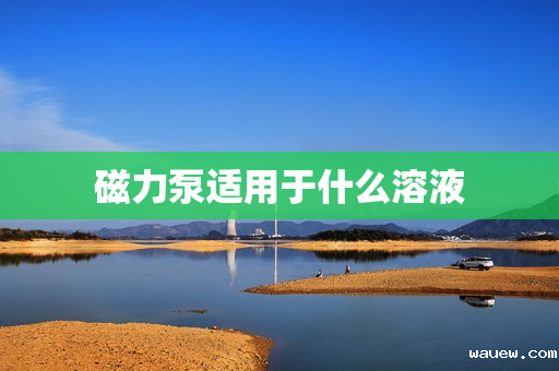 磁力泵适用于什么溶液