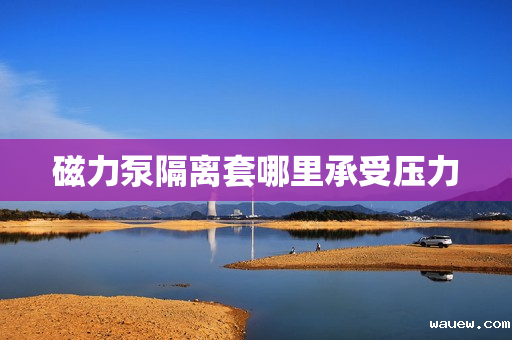 磁力泵隔离套哪里承受压力