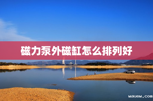 磁力泵外磁缸怎么排列好