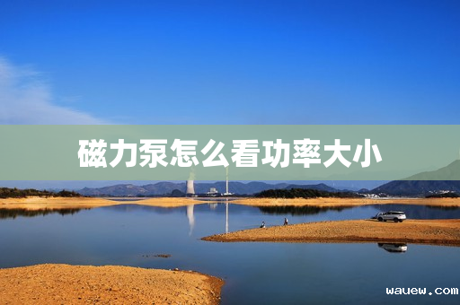 磁力泵怎么看功率大小