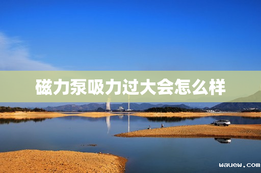 磁力泵吸力过大会怎么样