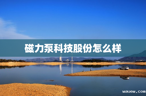 磁力泵科技股份怎么样