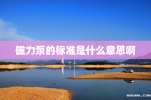 磁力泵的标准是什么意思啊