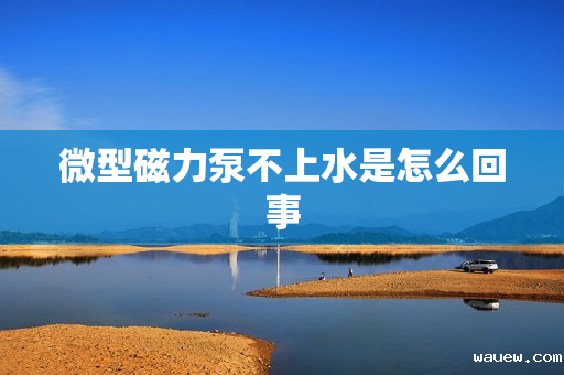 微型磁力泵不上水是怎么回事