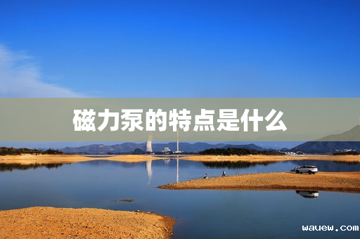 磁力泵的特点是什么