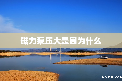 磁力泵压大是因为什么