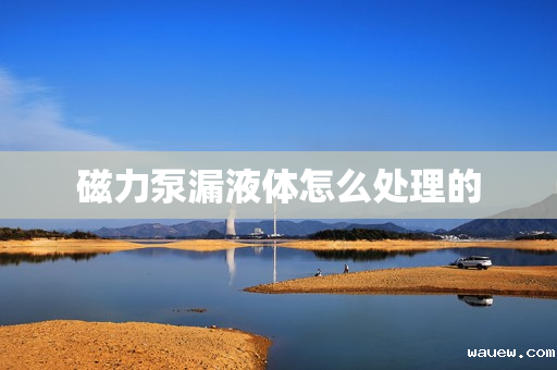 磁力泵漏液体怎么处理的