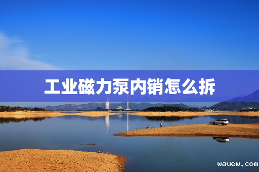 工业磁力泵内销怎么拆