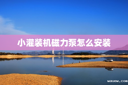 小灌装机磁力泵怎么安装