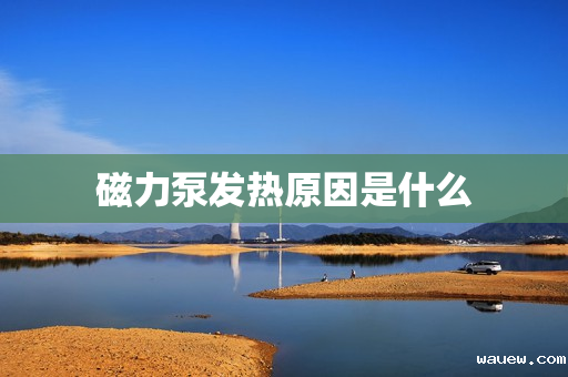 磁力泵发热原因是什么