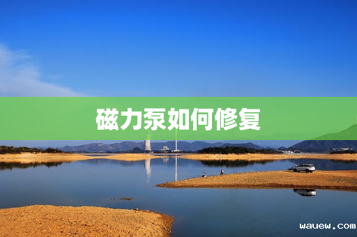 磁力泵如何修复